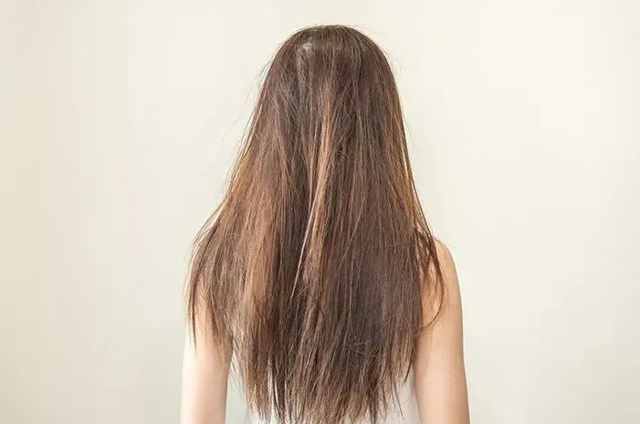 rambut kusam dan kaku