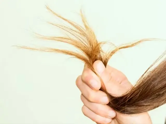 cegah split ends