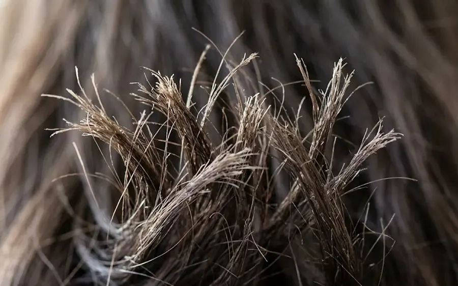 rambut bercabang
