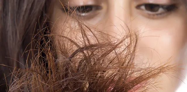 rambut bercabang