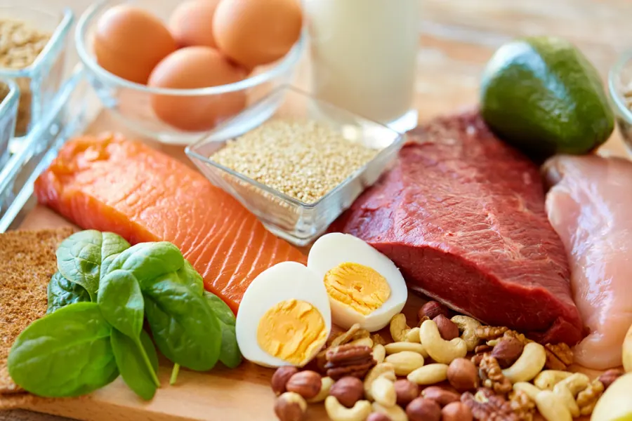 nutrisi10