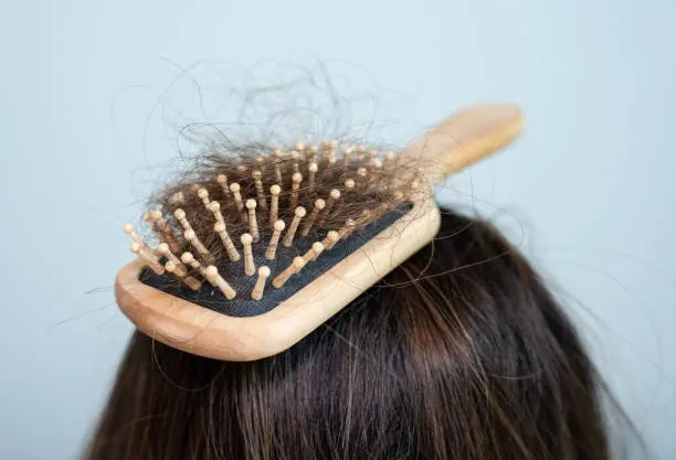 peran hormon dalam rambut