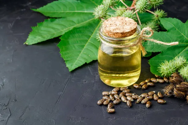 castor oil on the black table