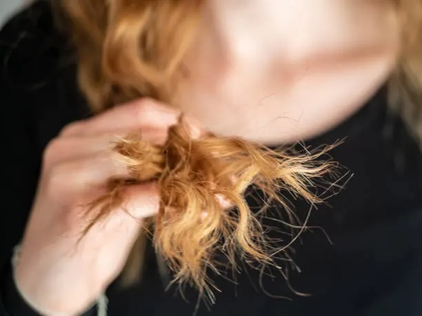 Kekurangan Protein dan Rambut Bercabang: Penyebab, Dampak, dan Cara Mengatasinya
