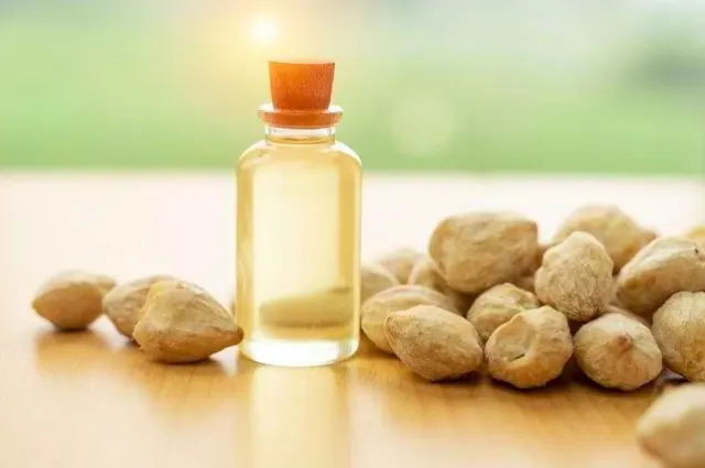 Cara Tepat Memakai Minyak Kemiri dan Lidah Buaya Rambut